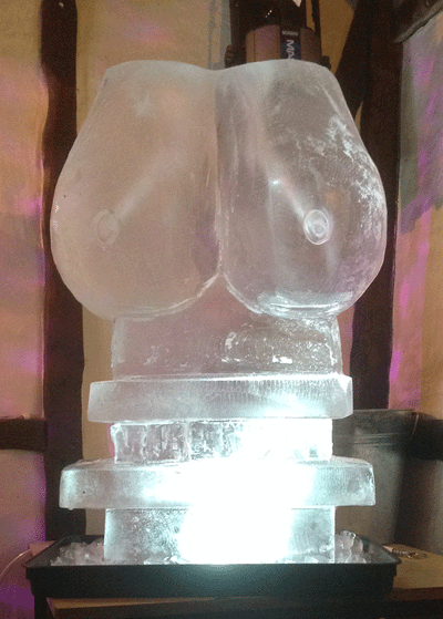 Birthday Parties are made for Vodka Luges and Ice Sculptures! 