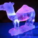 Circus Camel Vodka Luge from Passion for Ice