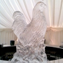 Cockerel Ice Sculpture from Passion for Ice