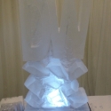 DW initials Vodka Luge from Passion for Ice