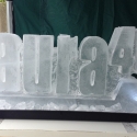 Laura 40 Vodka Luge from Passion for Ice