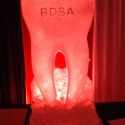 The 2019 BDSA Molar Vodka Luge from Passion for Ice