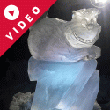 Cheshire Cat Vodka Luge from Passion for Ice