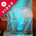 Standing Elephant Vodka Luge from Passion for Ice