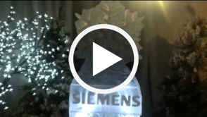 Snowflake Siemen's Christmas Party