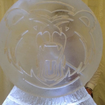 Close-up of Loughborough University's Bakewell Bear Vodka Luge from Passion for Ice