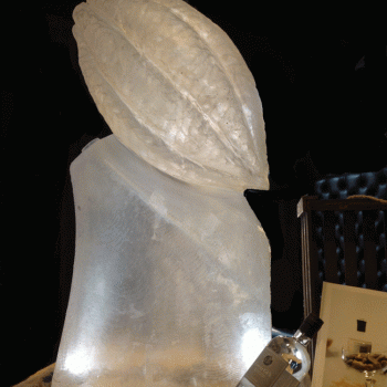 Hotel Chocolat Cocoa Pod Vodka Luge from Passion for ice