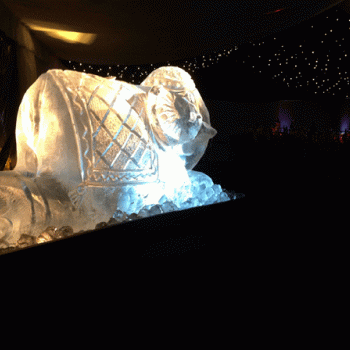 Elephant Kneeling side view Vodka Luge from Passion for Ice