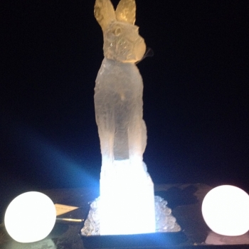 Front view of Hare Vodka Luge from Passion for Ice