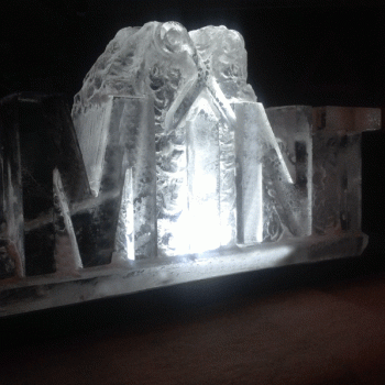 Side view of MINT Hairdressers Vodka Luge from Passion for Ice