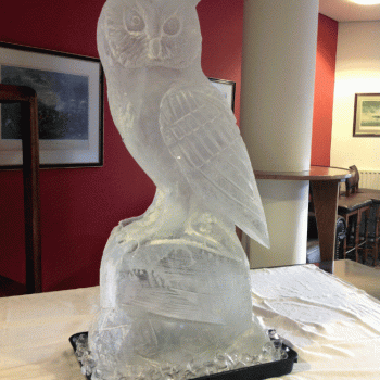 Great Scop Owl Vodka Luge from Passion for Ice