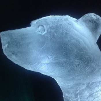 Close-up of Polar Bear Vodka Luge from Passion for Ice