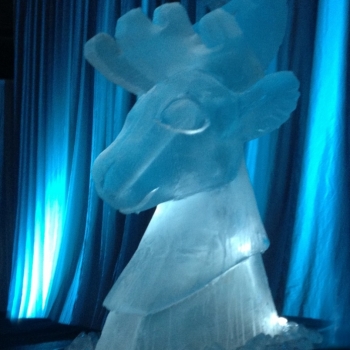 Reindeer Bust Vodka Luge from Passion for Ice