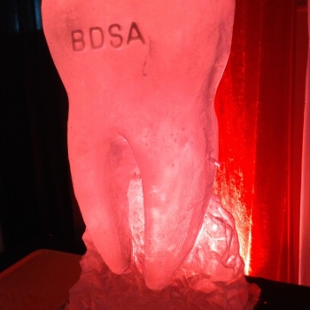 BDSA Molar Vodka Luge from Passion for Ice