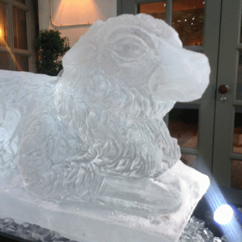 Close-up of Sheep Vodka Luge from Passion for Ice