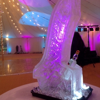 rear view of the Ski Jump Vodka Luge from Passion for Ice