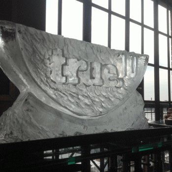 True - Vodka Luge from Passion for Ice