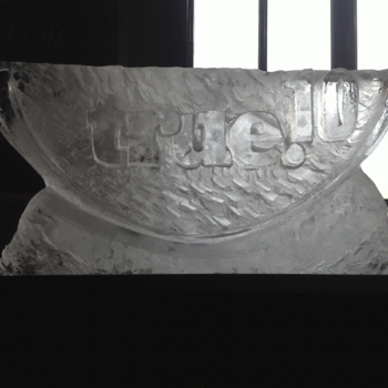 Close-up of True - Vodka Luge from Passion for Ice