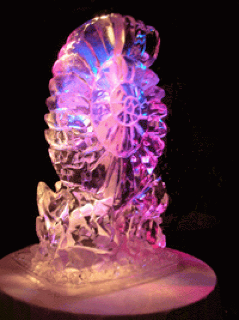 Amonite Vodka Luge from Passion for Ice