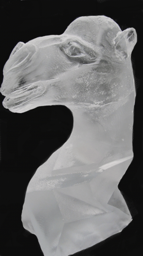 Camel's Head Vodka Luge from Passion for Ice