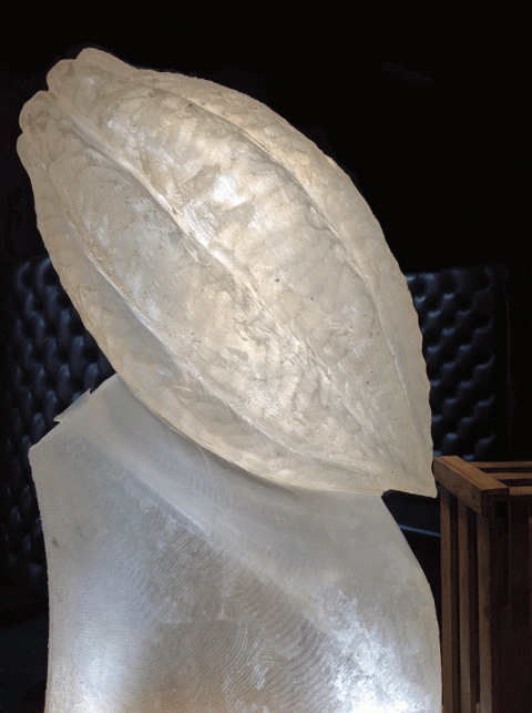 Cocoa Pod Vodka Luge from Passion for ice