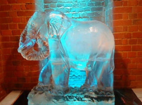 Standing Elephant Vodka Luge from Passion for Ice