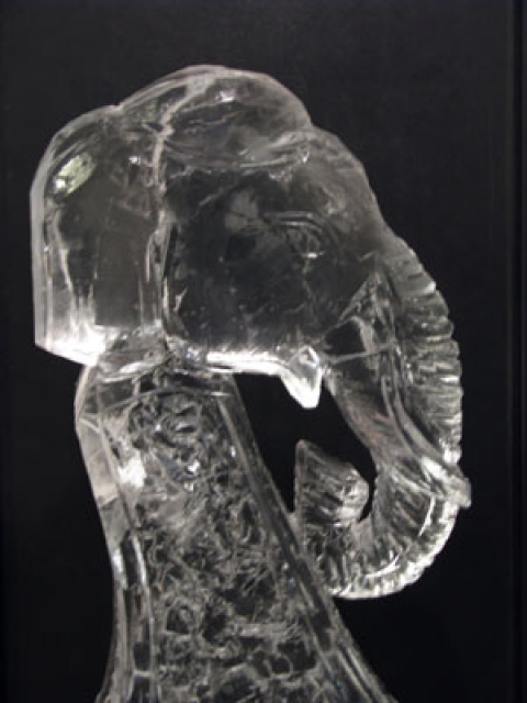 Circus Elephant Head Vodka Luge from Passion for Ice
