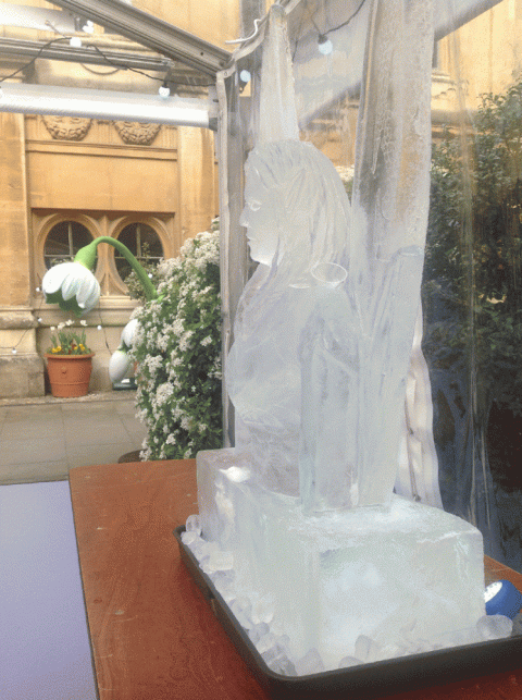 Fairy Vodka Luge from Passion for Ice