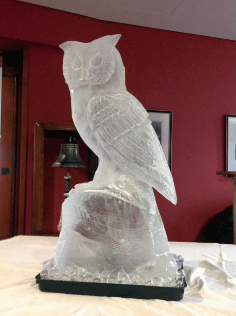 Owl Vodka Luge from Passion for Ice