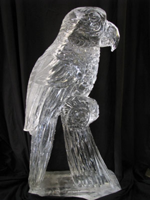 Parrot  Ice Sculpture by Passion for Ice