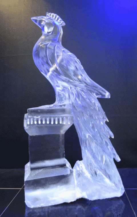 Peacock Vodka Luge from Passion for Ice