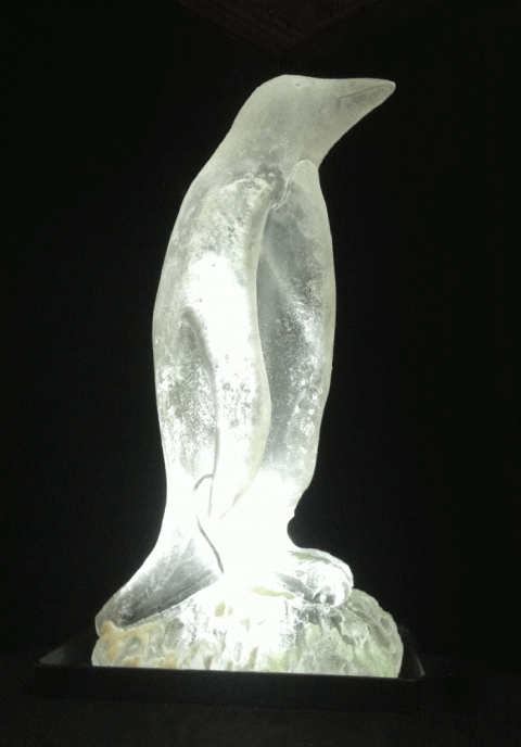 Penguin Vodka Luge from Passion for Ice