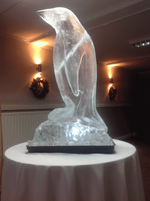 South Atlantic Penguin  Vodka Luge from Passion for Ice
