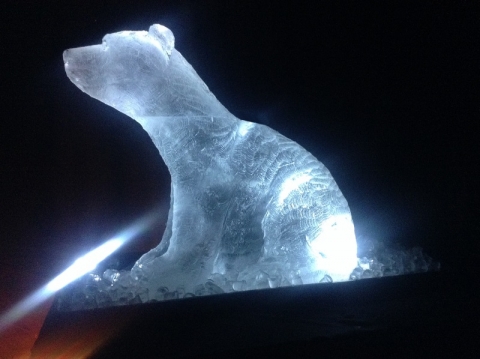 Polar Bear Vodka Luge from Passion for Ice