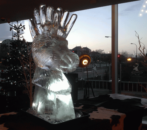 Missoula Stags Head Vodka Luge from Passion for Ice