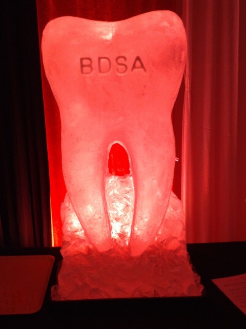 The 2019 BDSA Molar Vodka Luge from Passion for Ice