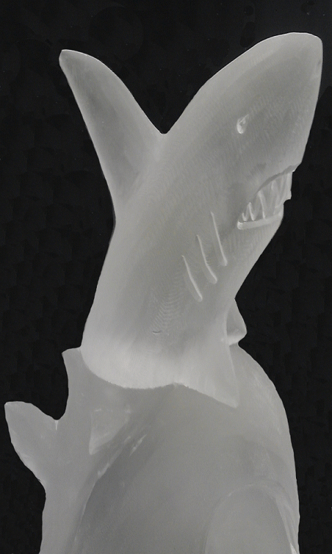Shark Vodka Luge from Passion for Ice
