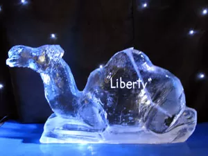 Camel - Seated Vodka Luge from Passion for Ice