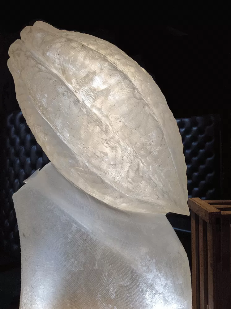 Cocoa Pod Vodka Luge from Passion for ice