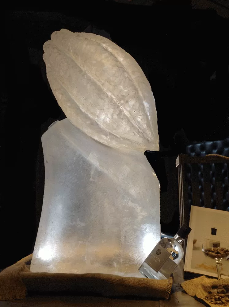 Hotel Chocolat Cocoa Pod Vodka Luge from Passion for ice