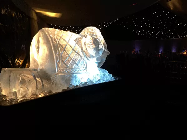 Elephant Kneeling side view Vodka Luge from Passion for Ice