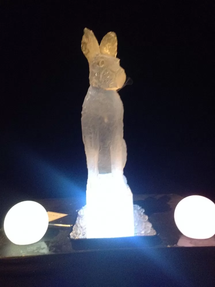 Front view of Hare Vodka Luge from Passion for Ice