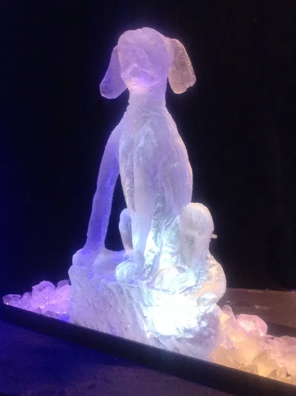 Dubarry Horn and Hound Ball Vodka Luge from Passion for Ice