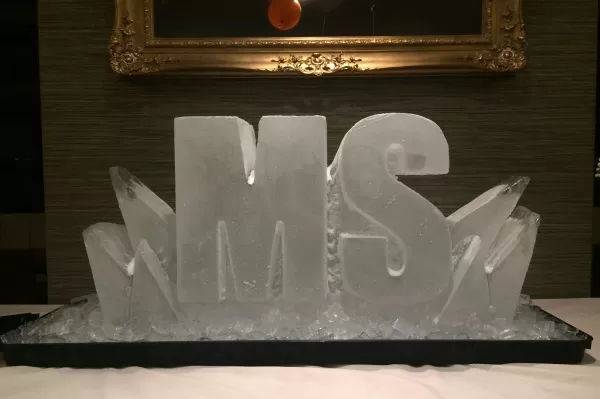 MS Society Vodka Luge from Passion for Ice