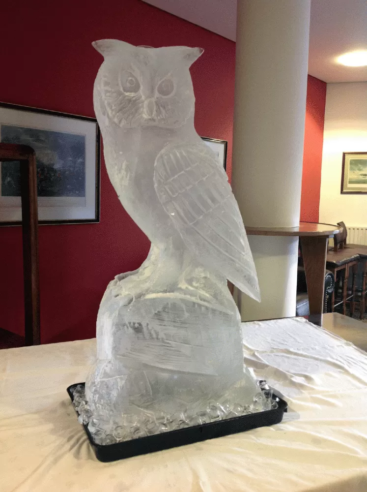 Great Scop Owl Vodka Luge from Passion for Ice