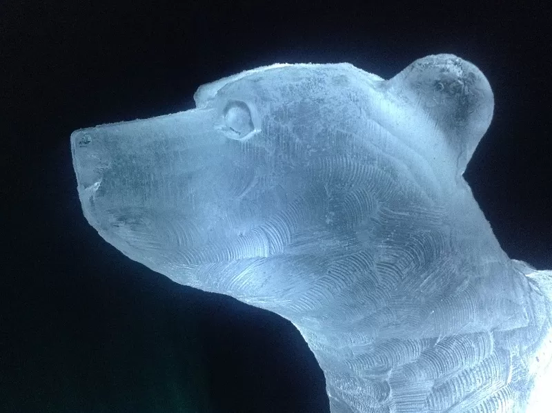 Close-up of Polar Bear Vodka Luge from Passion for Ice