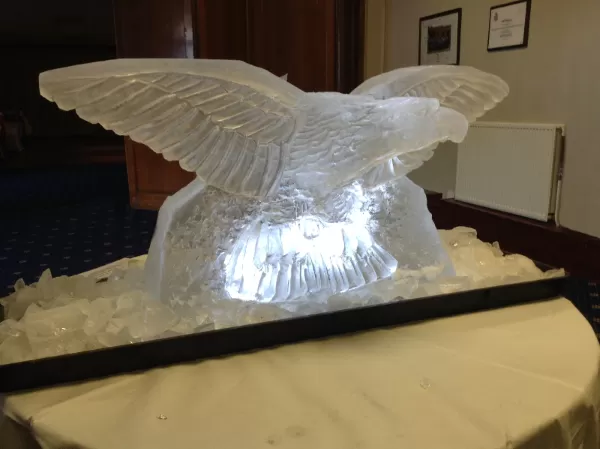 Swooping Eagle Crest Vodka Luge from Passion for Ice