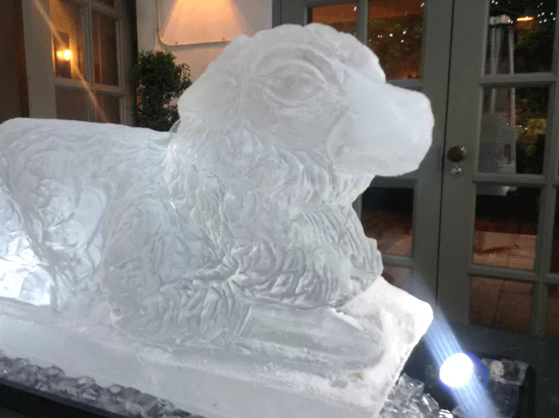 Close-up of Sheep Vodka Luge from Passion for Ice