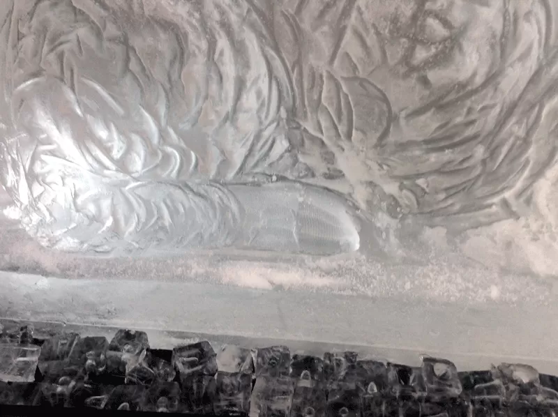 Detail of Sheep Vodka Luge from Passion for Ice