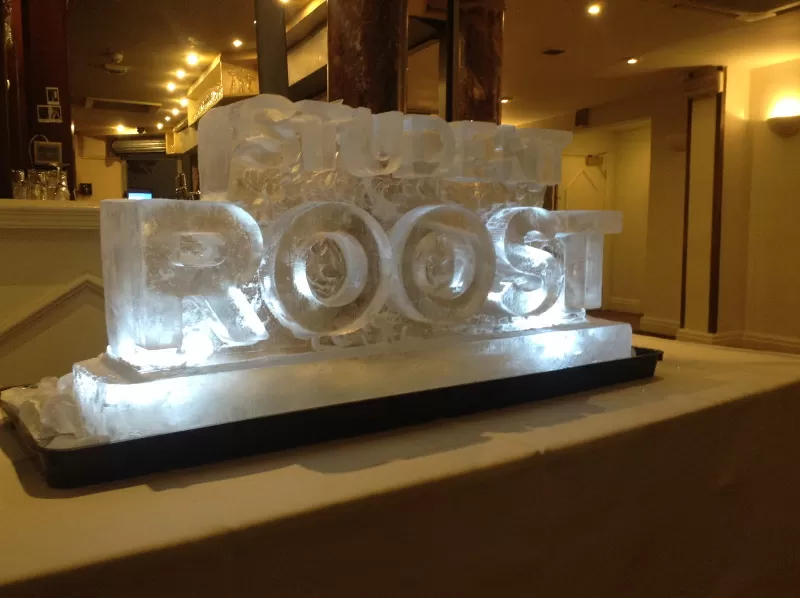 Student Roost Vodka Luge from Passion for Ice
